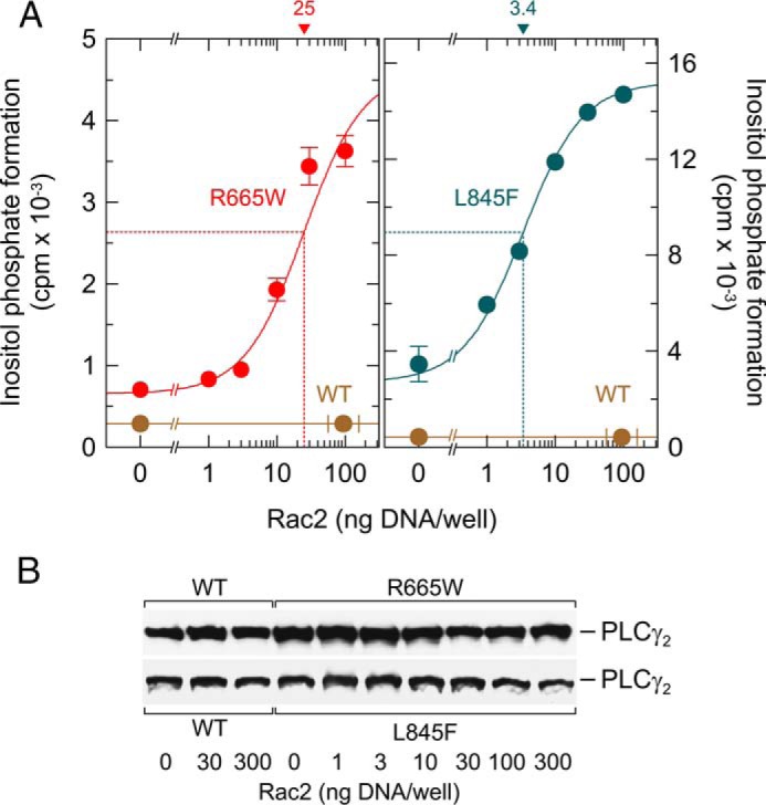 FIGURE 3.