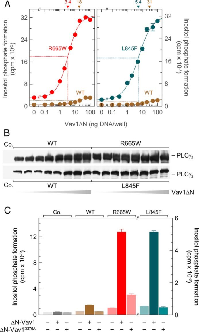 FIGURE 4.