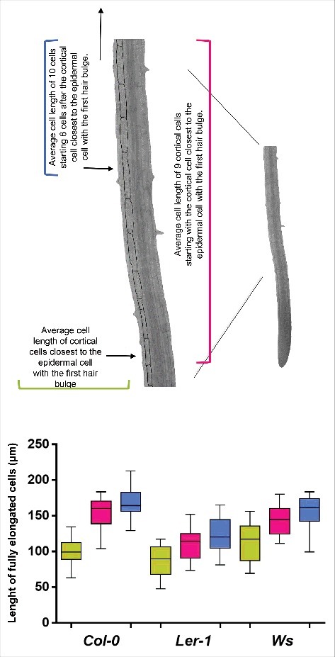 Figure 5.