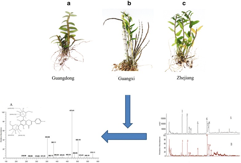 graphic file with name 13065_2018_403_Figa_HTML.jpg