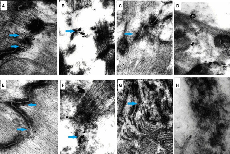 Fig. 4