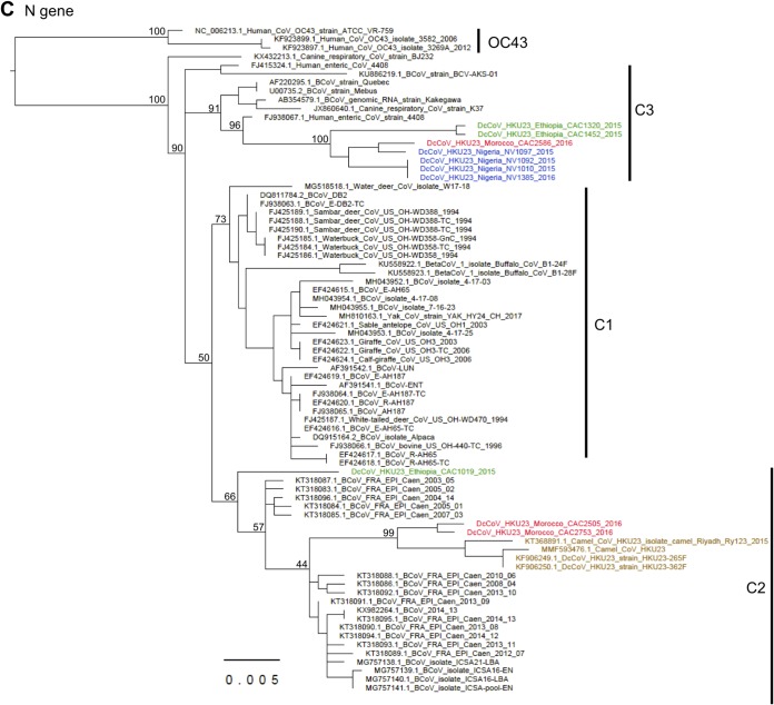 FIG 3