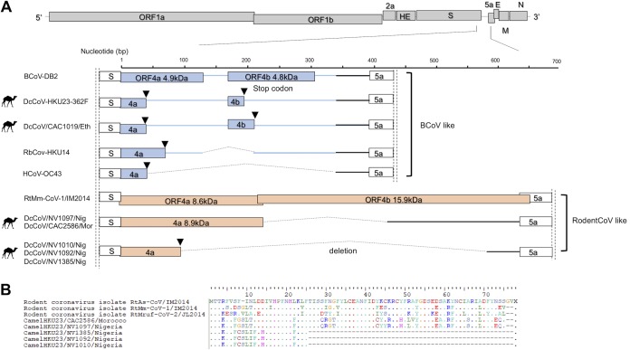 FIG 4