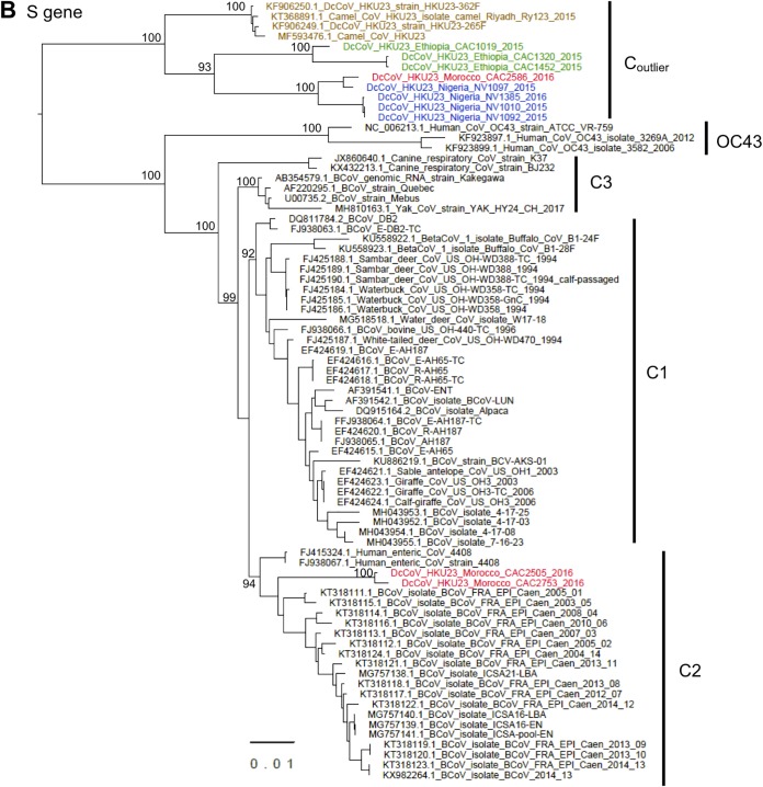 FIG 3