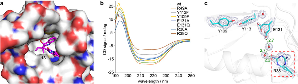 Extended Data Figure 6.