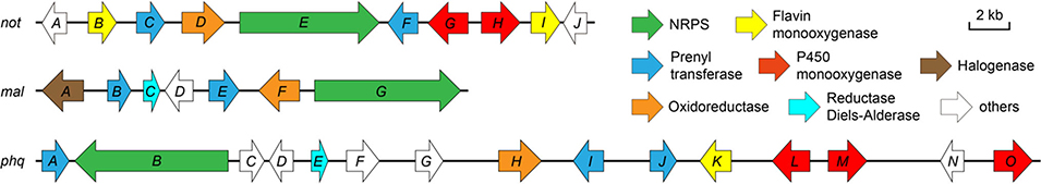 Extended Data Figure 2.