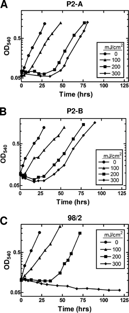 FIG. 2.