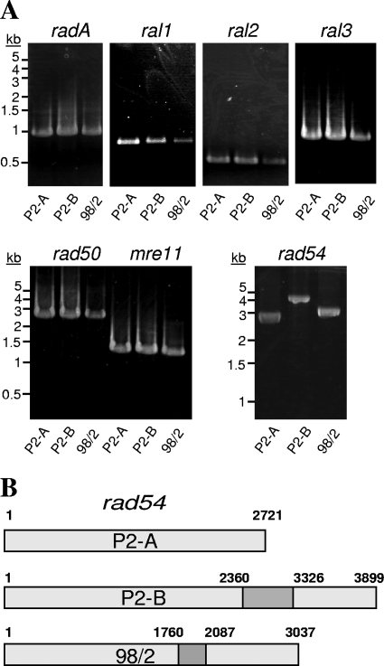 FIG. 4.