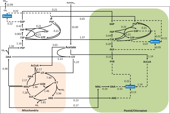 Fig 5