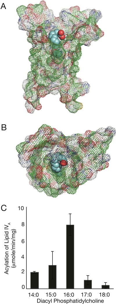 Fig. 7