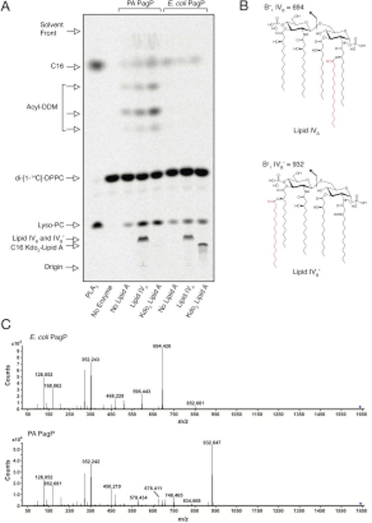 Fig. 6