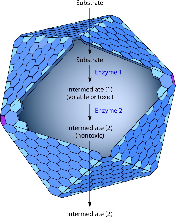 FIG 1