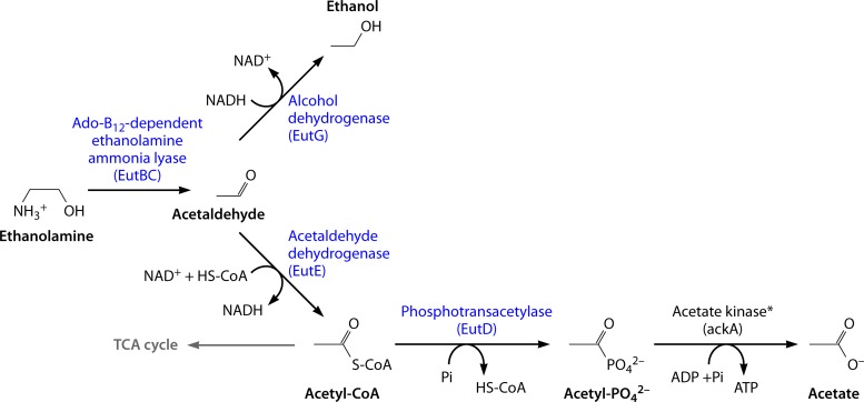 FIG 14