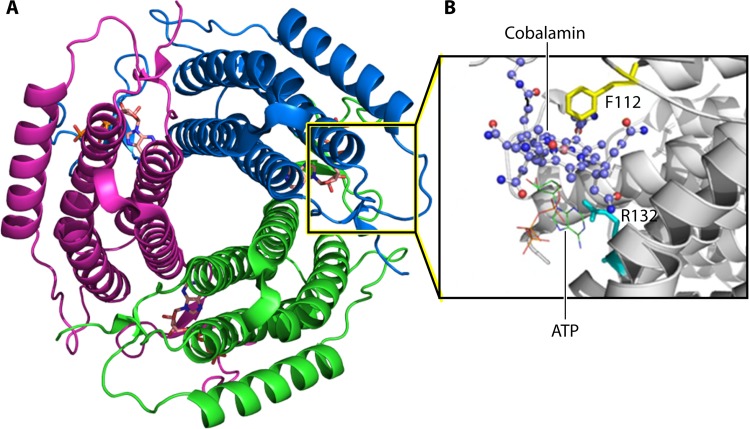 FIG 8