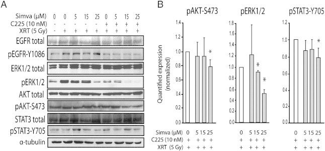 Figure 5