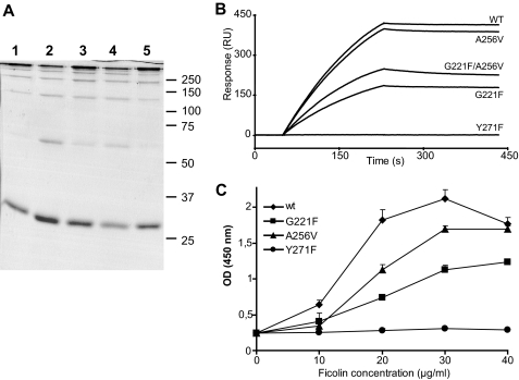 FIGURE 4.