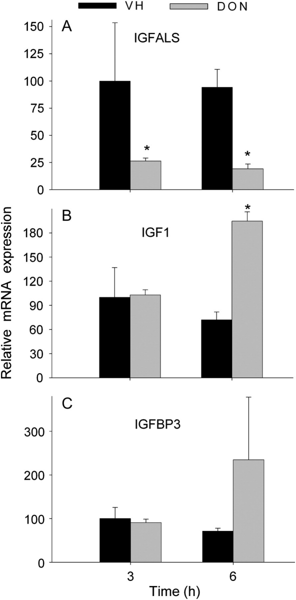 FIG. 5.