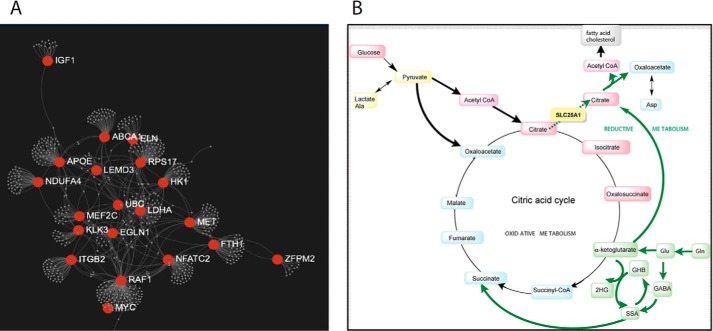 FIGURE 3.