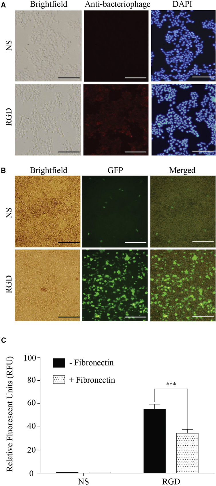 Figure 3