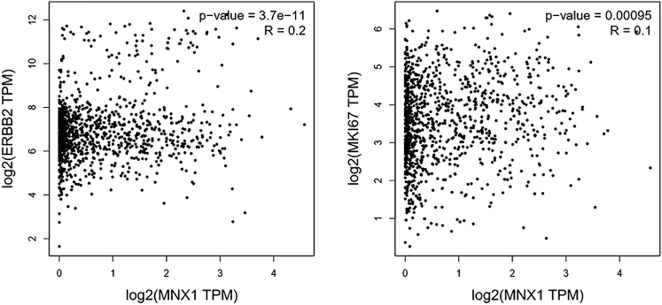 Figure 7