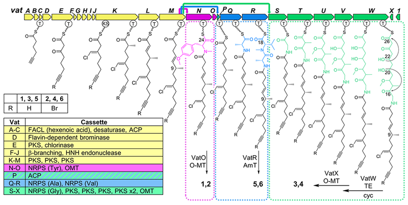Figure 2.