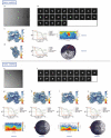 Extended Data Fig. 3