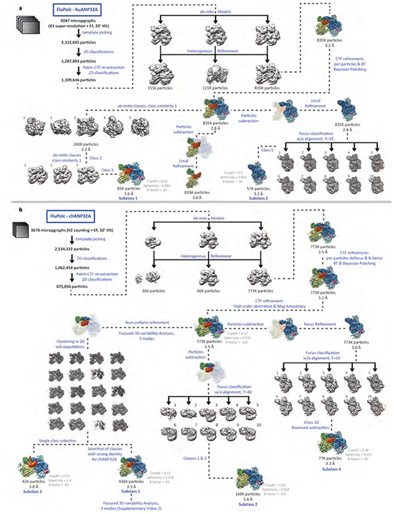 Extended Data Fig. 2