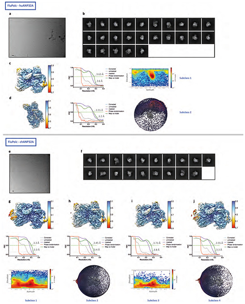 Extended Data Fig. 3