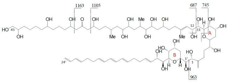 Figure 11