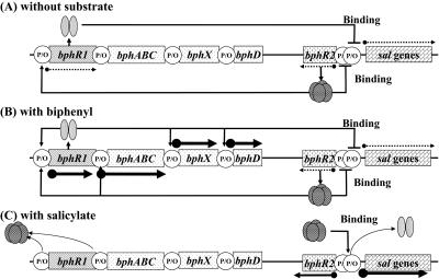 FIG. 7.