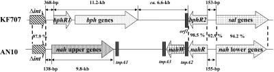 FIG. 8.