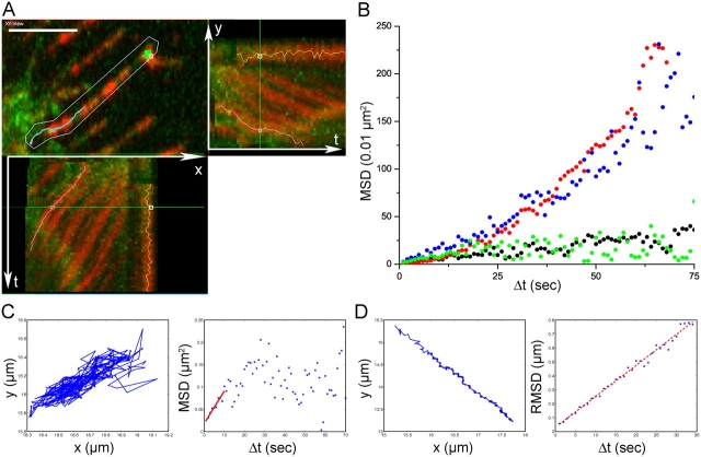 Figure 2.