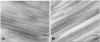 Fig. (3)