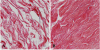 Fig. (2)
