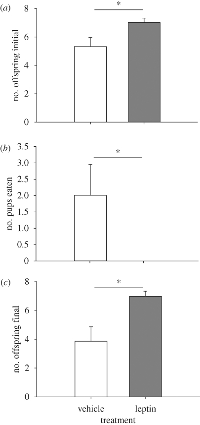 Figure 2.