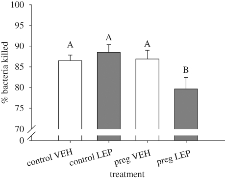 Figure 5.