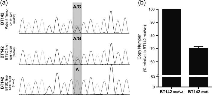 Fig. 1.