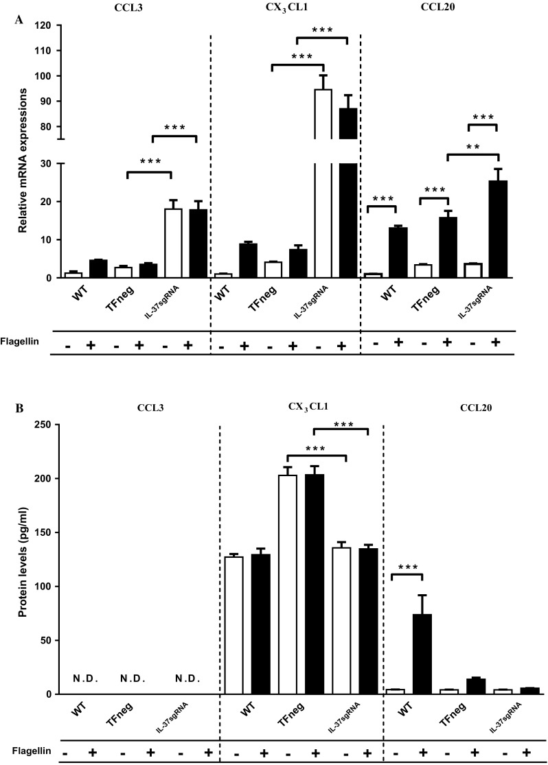 Fig. 4