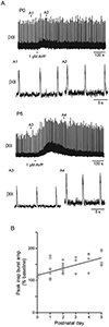 Figure 6.