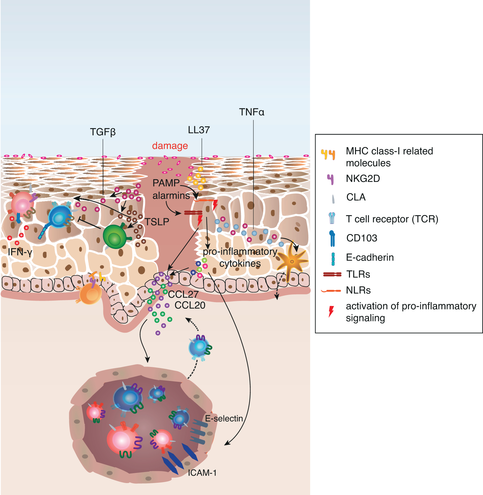 Figure 2: