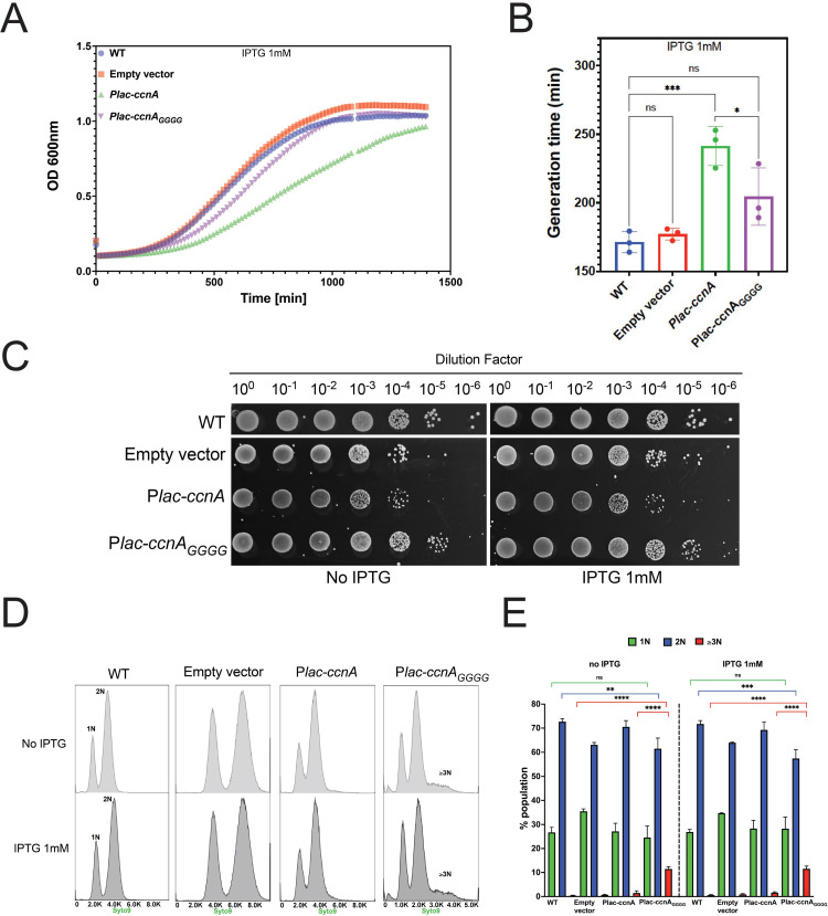 Fig 6