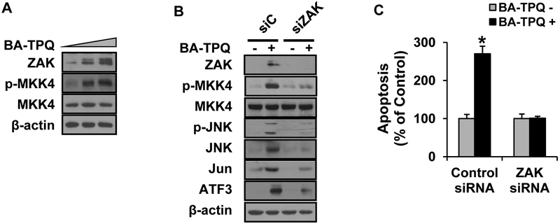 Fig. (4).