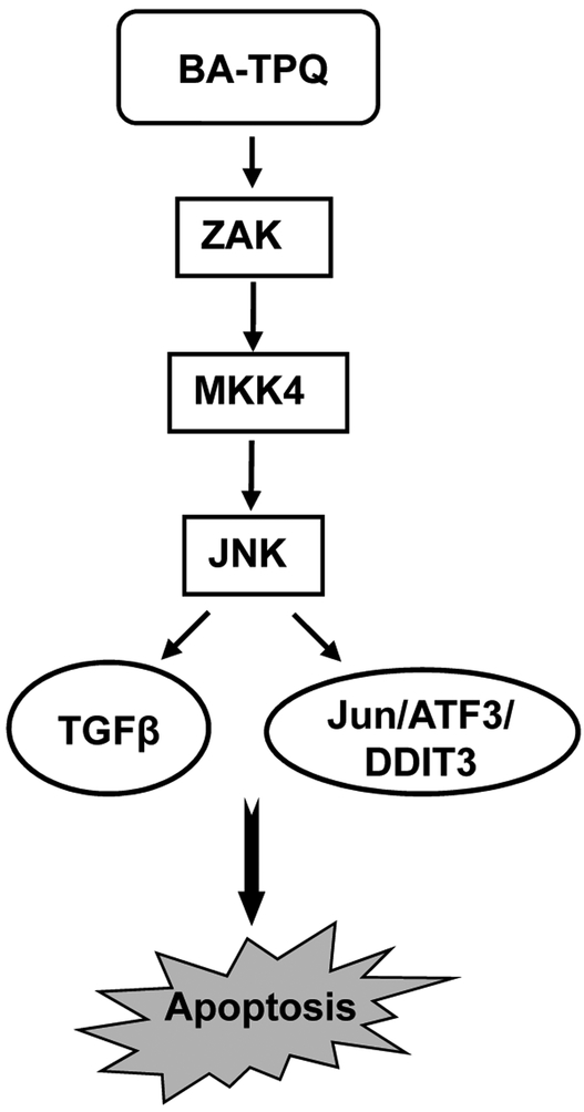 Fig. (7).