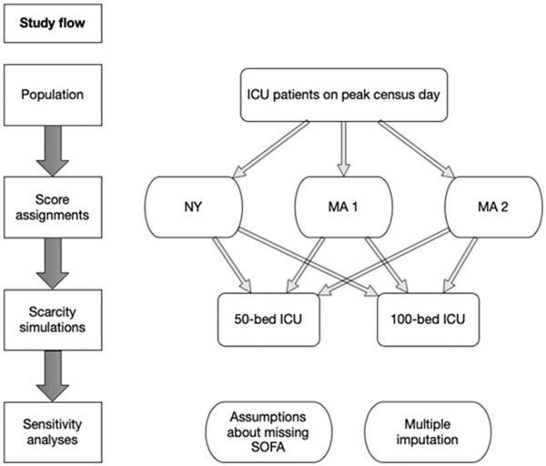 FIGURE 1