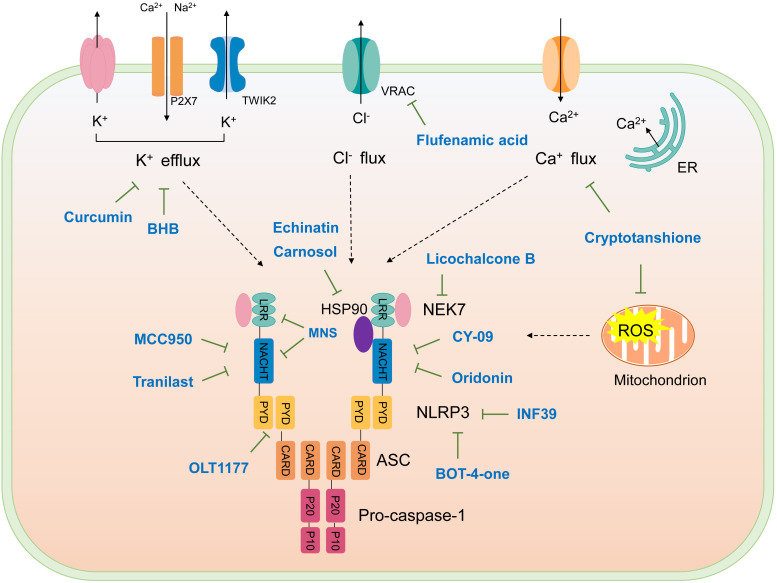 Figure 4