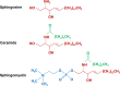 Fig. 1