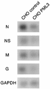 FIG. 7
