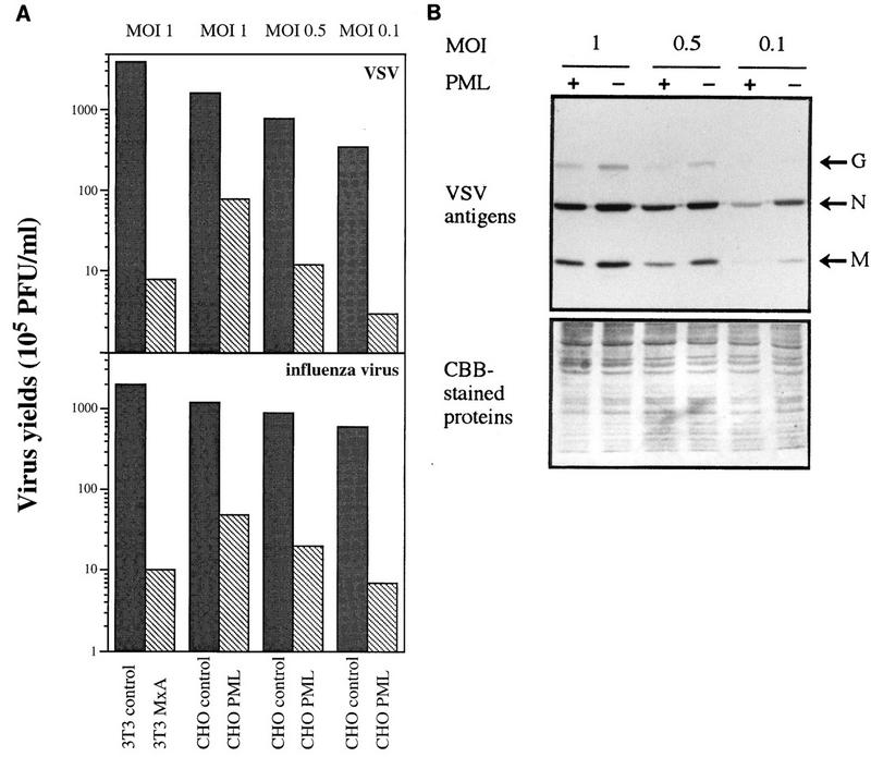 FIG. 6