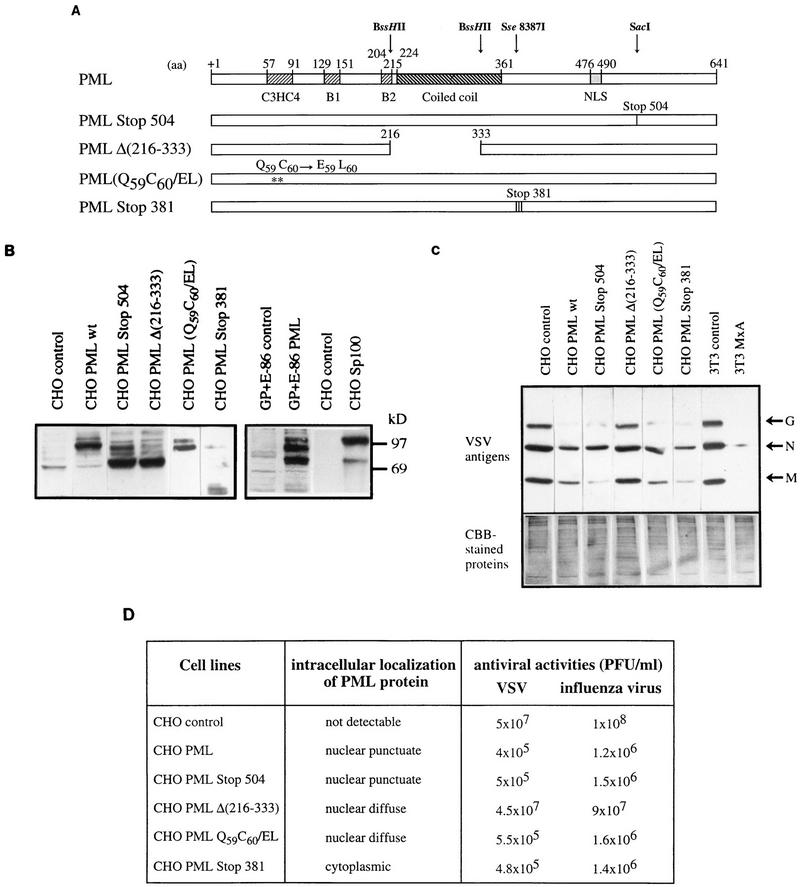 FIG. 8