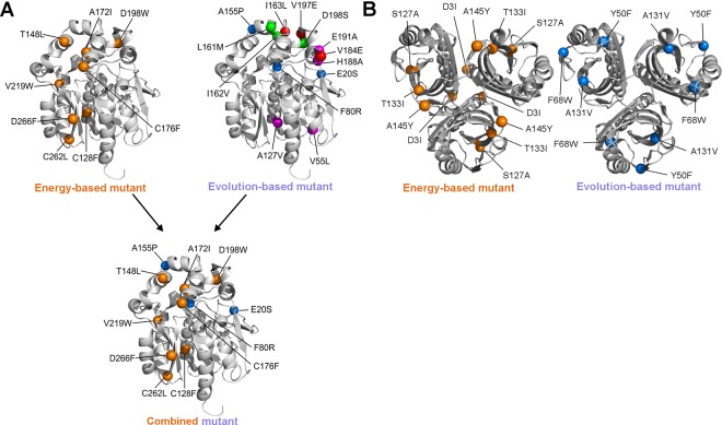 Fig 2